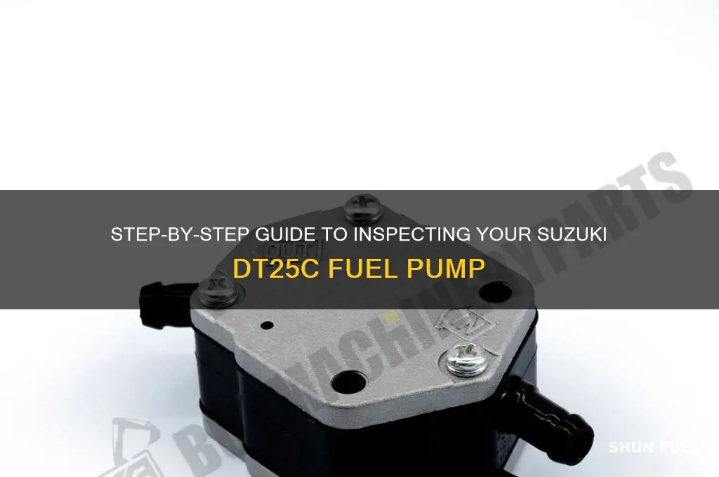 how to check suzuki dt25c fuel pump