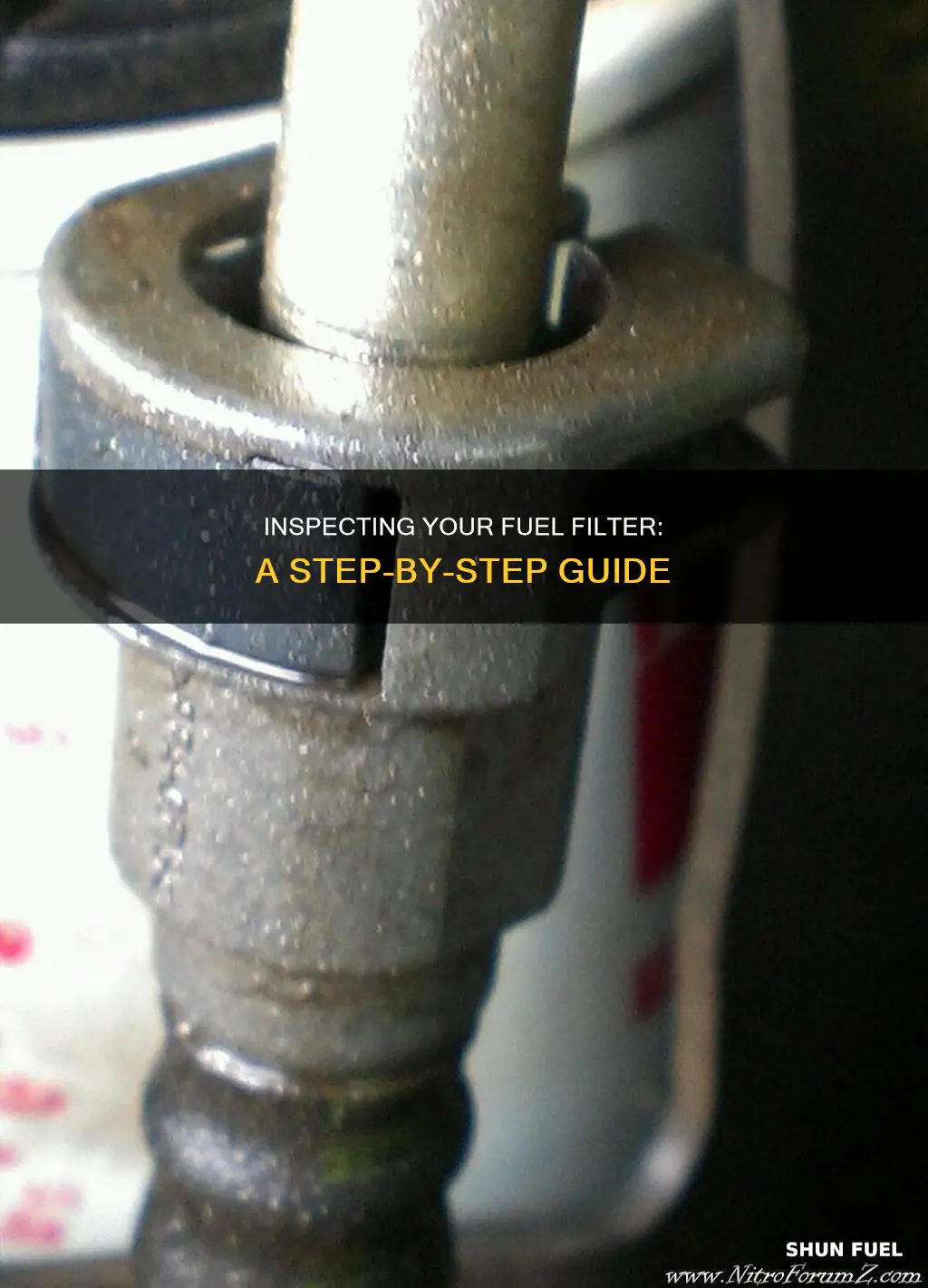 how to check the fuel filter
