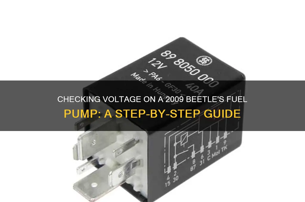how to check voltage to 2009 beetle fuel pump