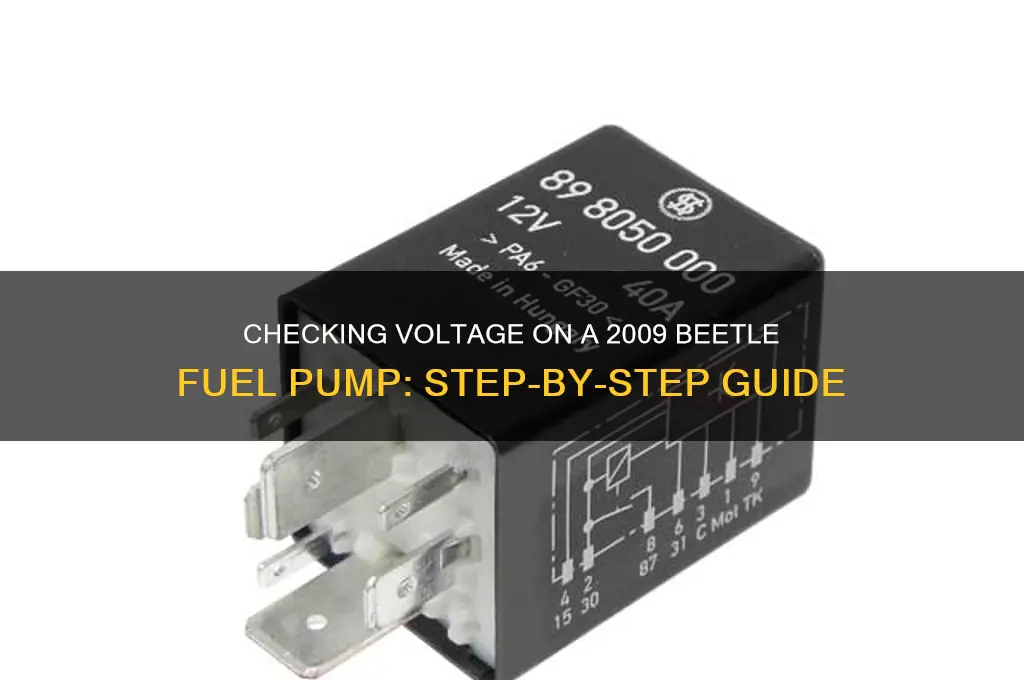 how to check voltage to 2009 bettle fuel pump