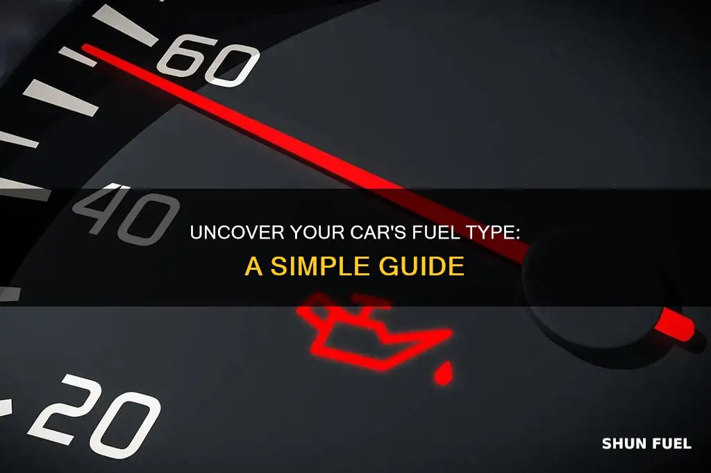 how to check what fuel your car uses