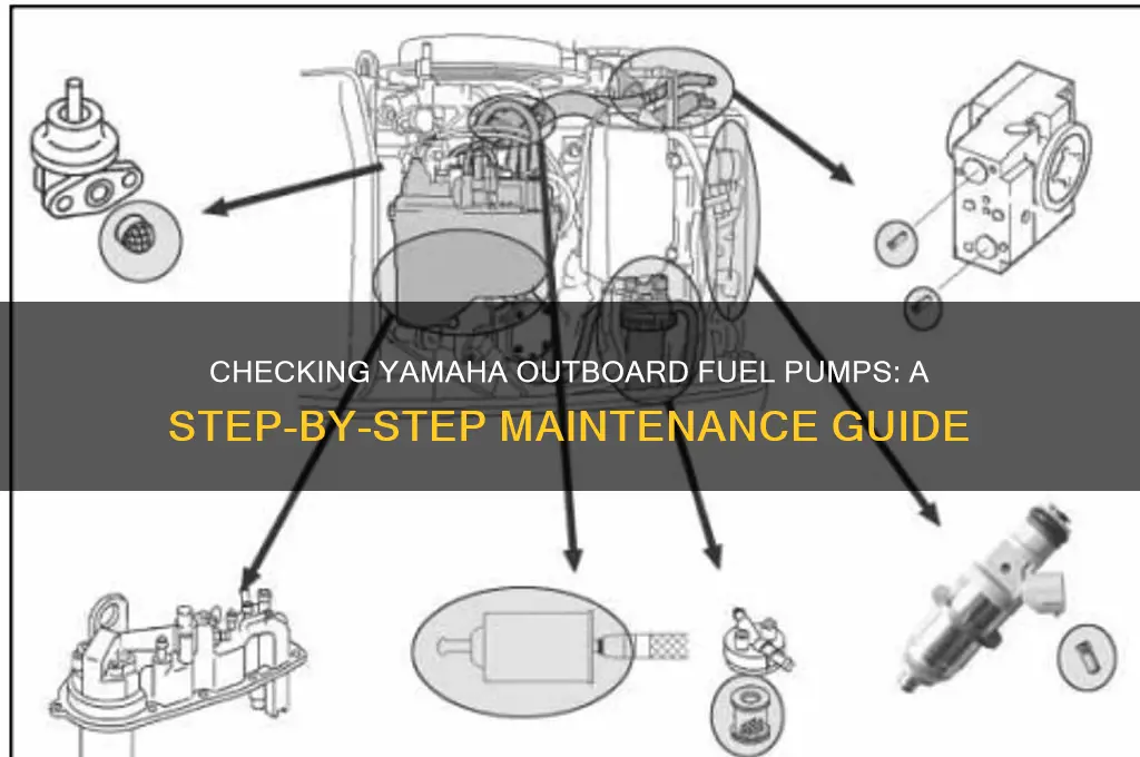how to check yamaha outboard fuel pumps