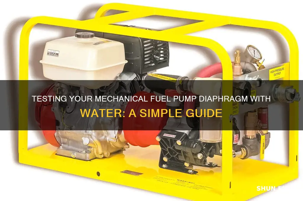 how to checkn a mechanical fuel pump diaphragm using water