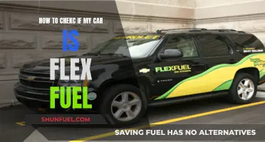 Is Your Car Flex Fuel? Check for These Signs