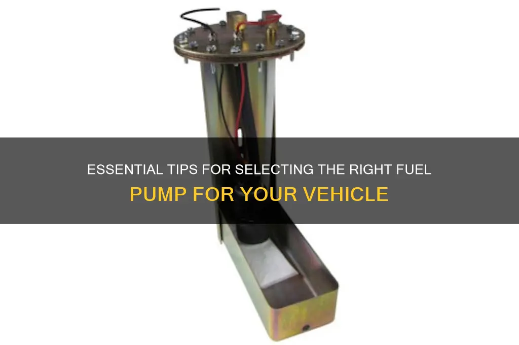 how to choose a fuel pump