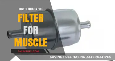 Selecting the Right Fuel Filter for Your Muscle Car