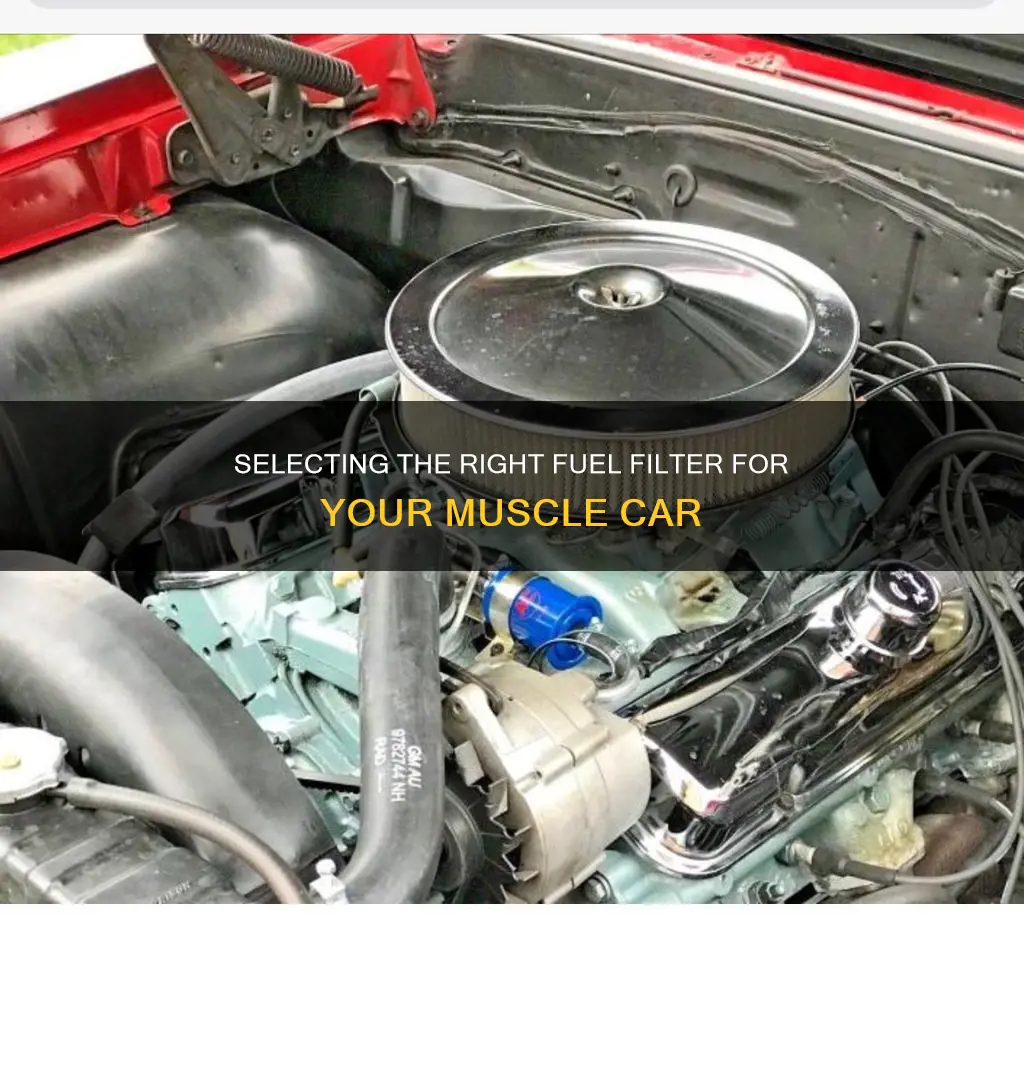 how to chose a fuel filter for muscle