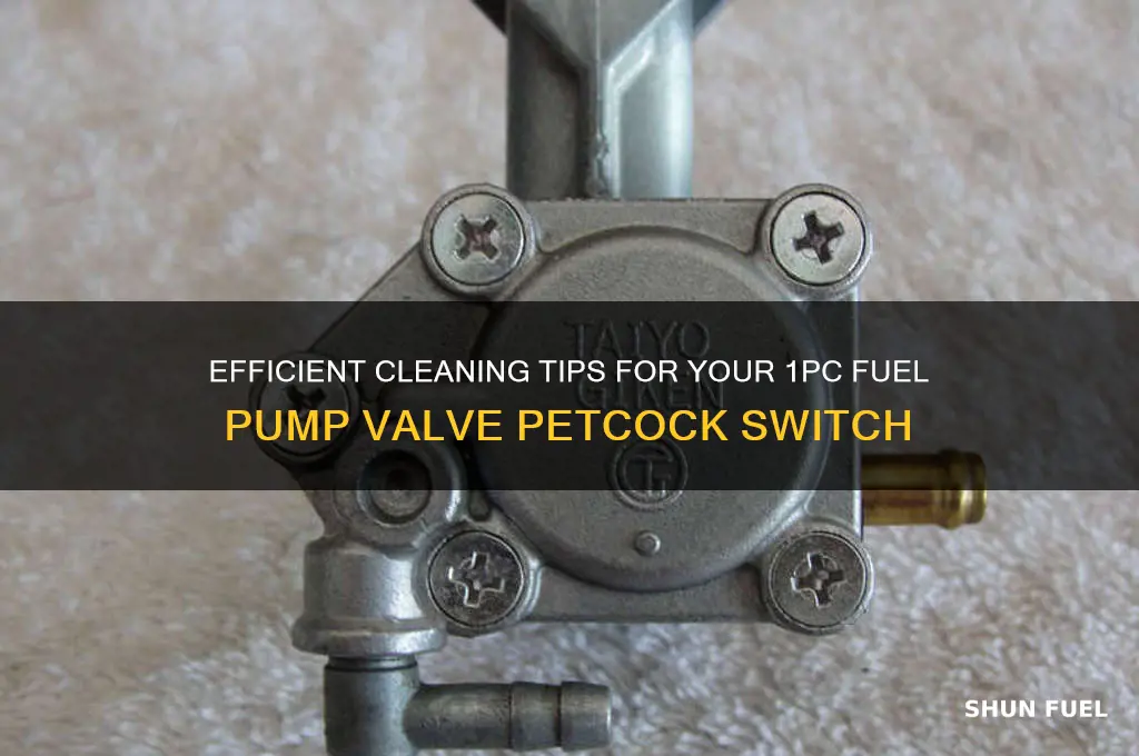 how to clean 1pc fuel pump valve petcock switch