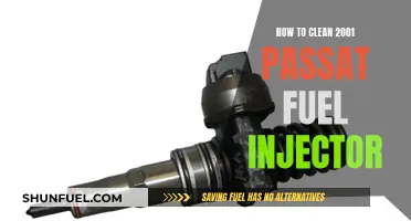 Cleaning a 2001 Passat Fuel Injector: Step-by-Step Guide