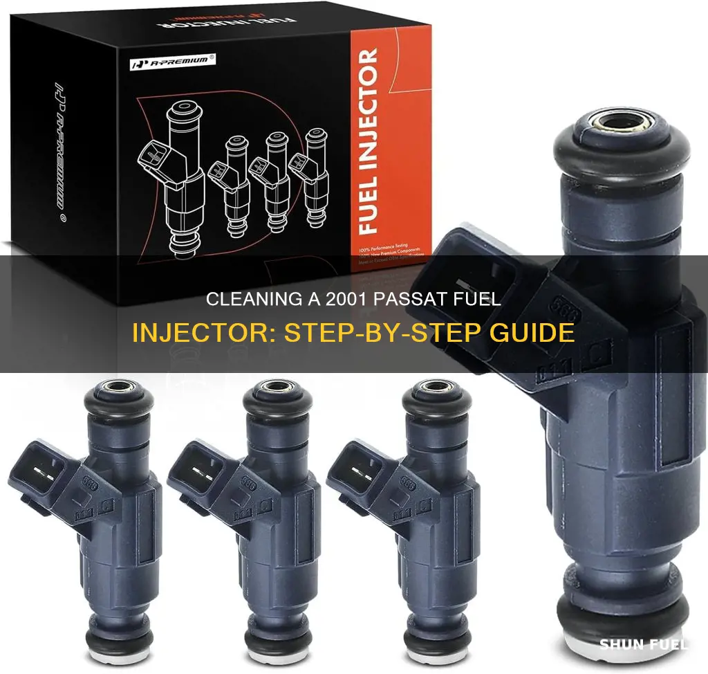 how to clean 2001 passat fuel injector