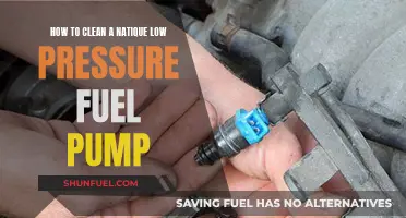 Cleaning a Natique Low-Pressure Fuel Pump: Step-by-Step Guide