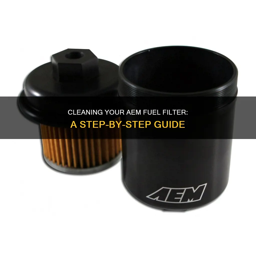 how to clean aem fuel filter