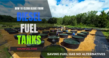 Cleaning Algae from Diesel Fuel Tanks: A Step-by-Step Guide