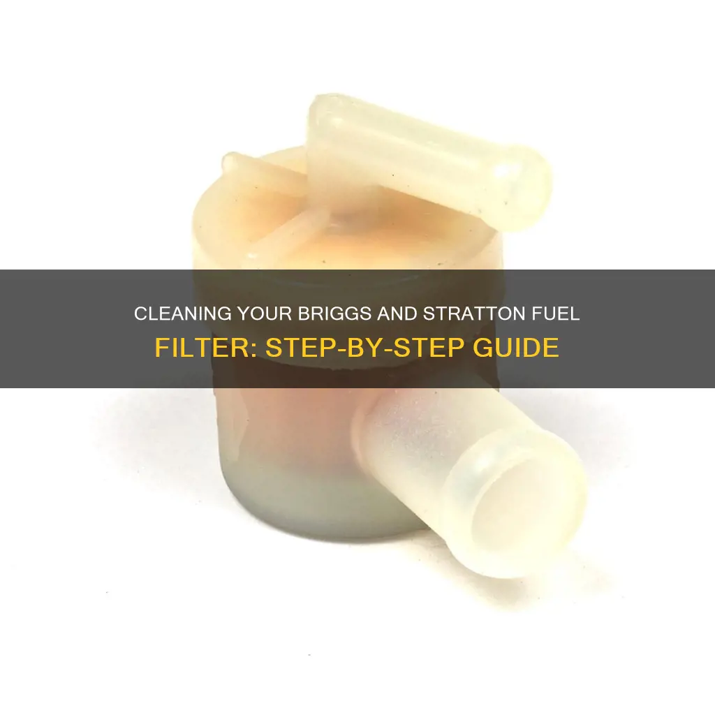 how to clean briggs and stratton fuel filter