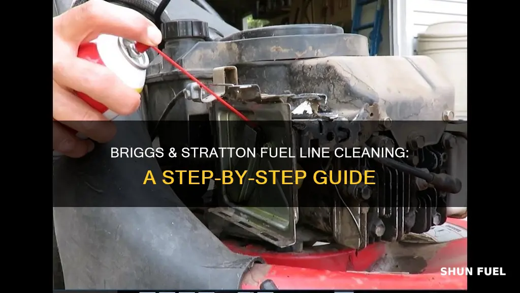 how to clean briggs and stratton fuel line