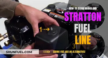 Cleaning Fuel Line of Briggs and Stratton: Step-by-Step Guide