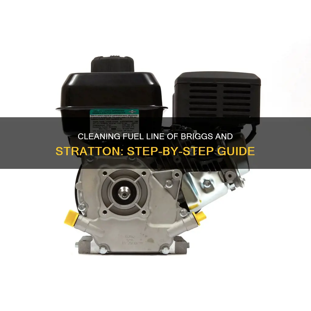 how to clean briggs and stratton fuel line