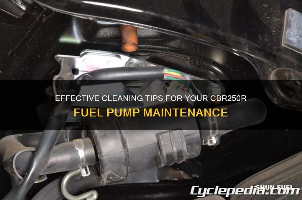 how to clean cbr250r fuel pump