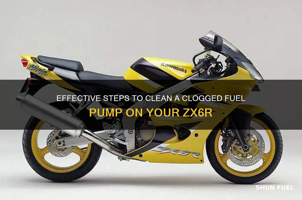 how to clean clogged fuel pump zx6r