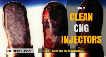 Revive Your Engine: The Ultimate Guide to Cleaning CNG Injectors