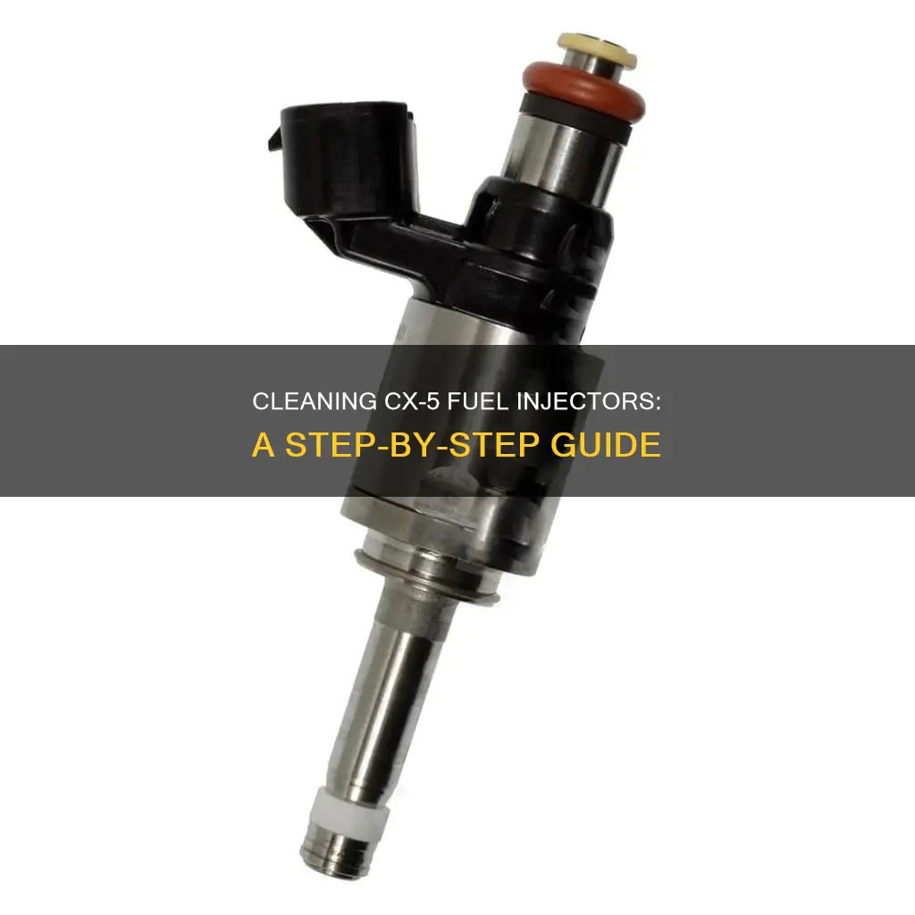 how to clean cx5 fuel injectors