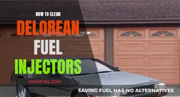 Cleaning DeLorean Fuel Injectors: A Step-by-Step Guide