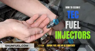 Cleaning E-TEC Fuel Injectors: A Step-by-Step Guide