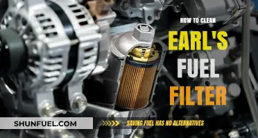 Earl's Fuel Filter: Cleaning Guide