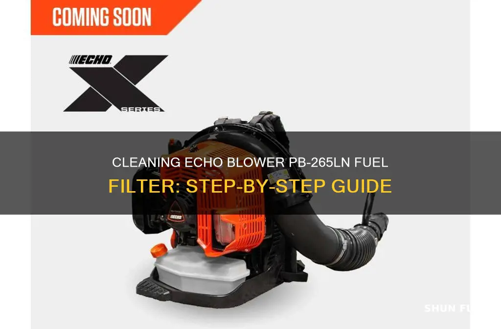 how to clean echo blower pb265ln fuel filter