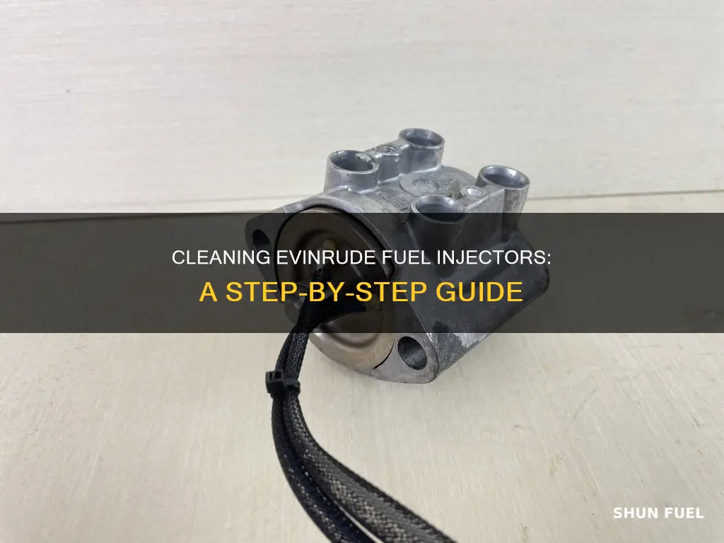 how to clean evinrude fuel injectors