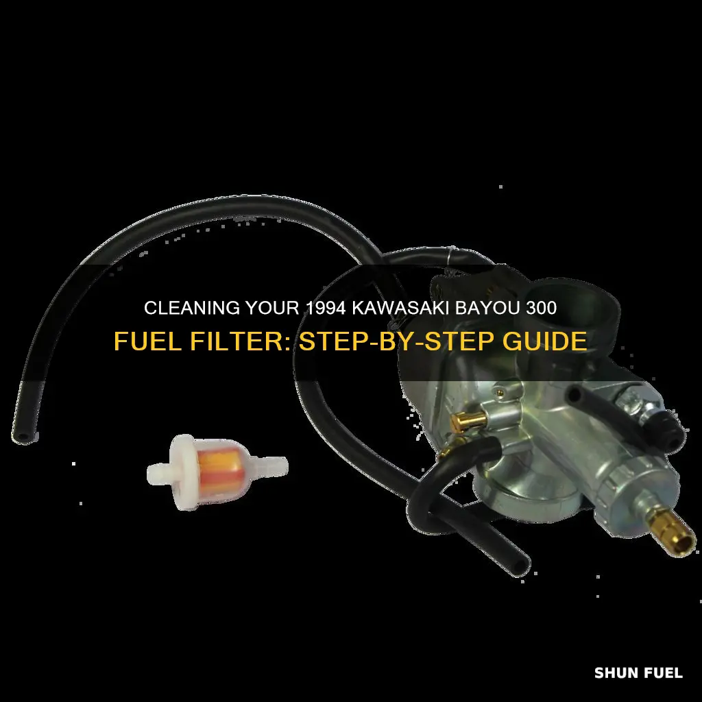 how to clean fuel filter on 1994 kawasaki bayou 300