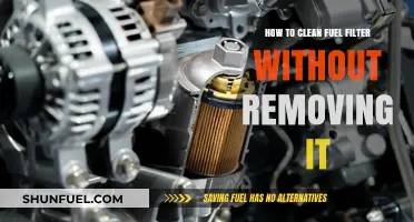 Cleaning Fuel Filters: DIY Without Removal
