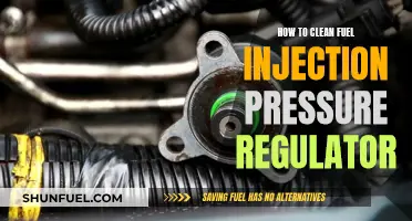 Cleaning Fuel Injection Pressure Regulators: A Step-by-Step Guide