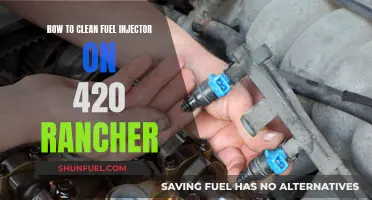 Effective Fuel Injector Cleaning for Your 420 Rancher