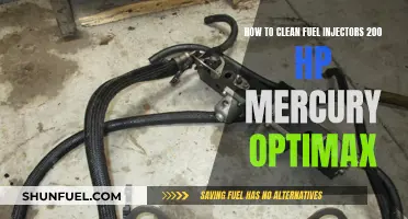 Cleaning Your 200 HP Mercury Optimax Fuel Injectors