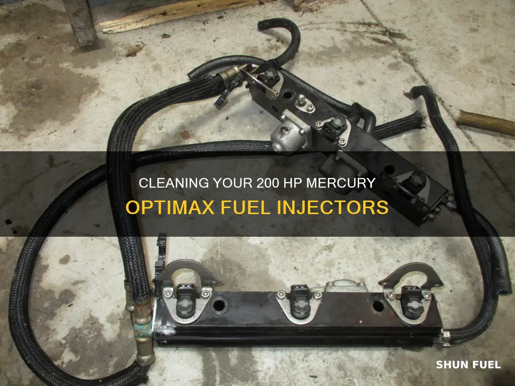 how to clean fuel injectors 200 hp mercury optimax