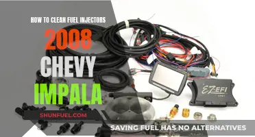 Cleaning Fuel Injectors in a 2008 Chevy Impala