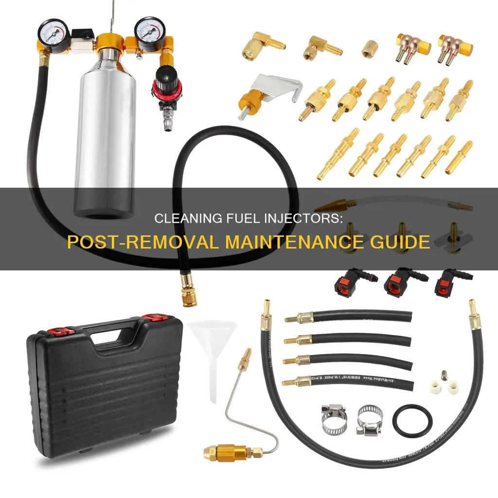 how to clean fuel injectors after removal