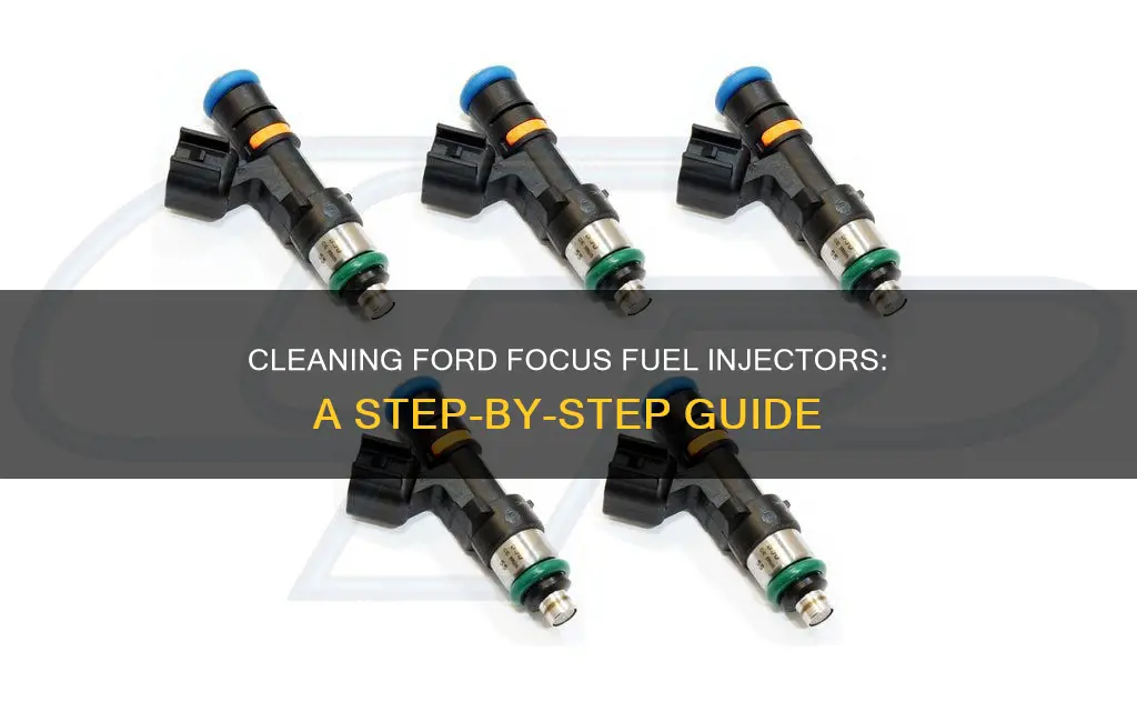 how to clean fuel injectors ford focus