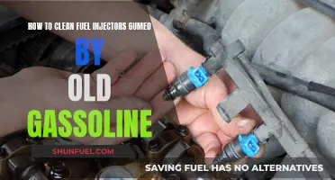 Cleaning Fuel Injectors: Removing Old Gas Gunk
