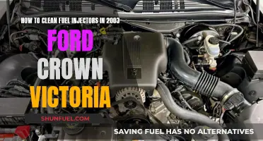 Cleaning Fuel Injectors in a 2003 Ford Crown Victoria