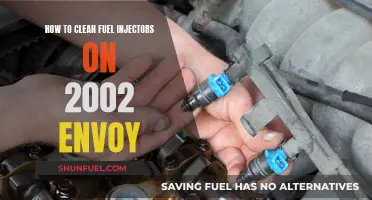Cleaning Fuel Injectors: 2002 Envoy Maintenance Guide