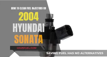 Cleaning Fuel Injectors: 2004 Hyundai Sonata Guide
