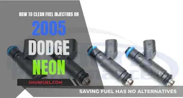 Cleaning Fuel Injectors on Your 2005 Dodge Neon