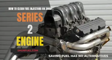 Cleaning Fuel Injectors: 3800 Series 2 Engine Maintenance Guide