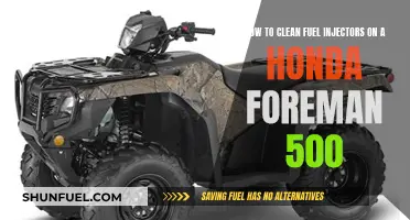 Cleaning Foreman 500 Fuel Injectors: DIY Guide