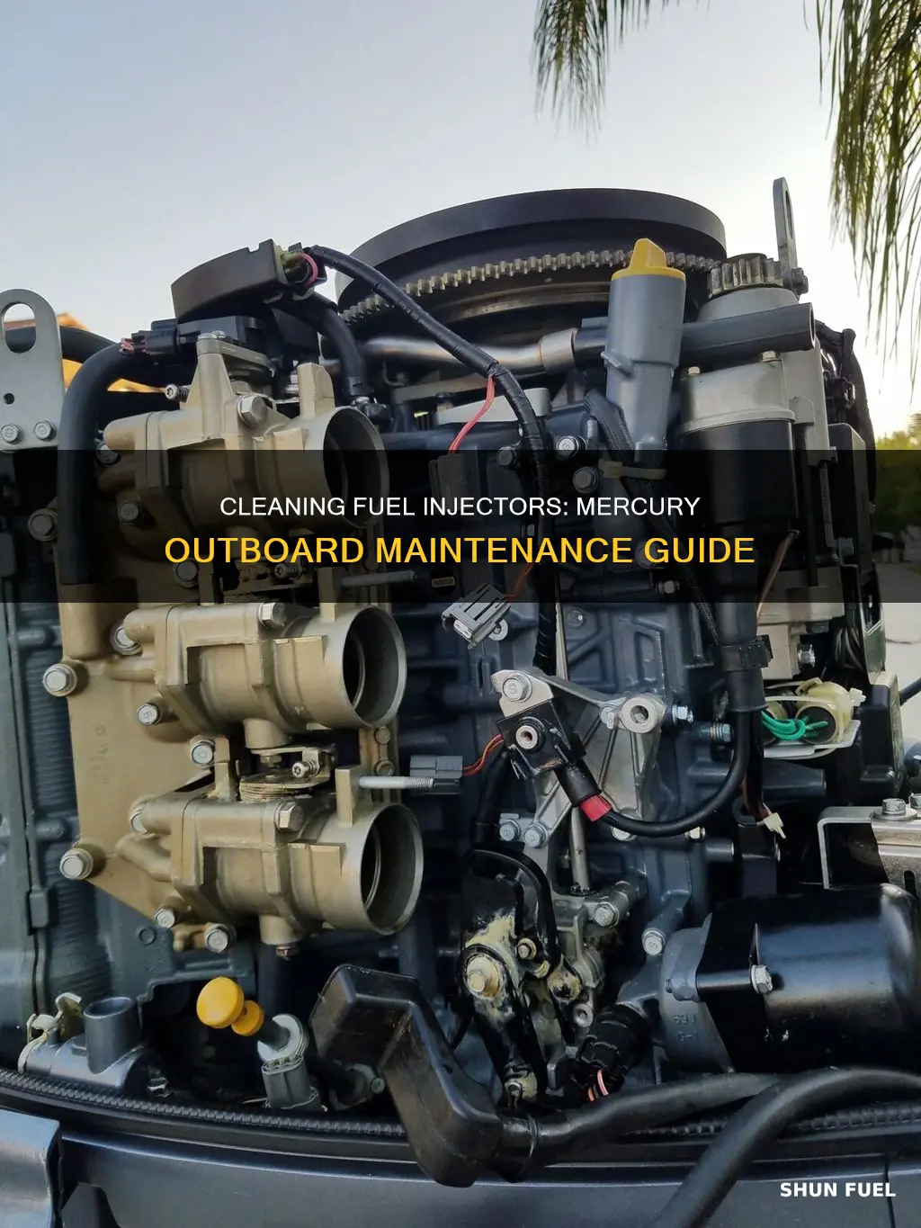 how to clean fuel injectors on mercury outboard