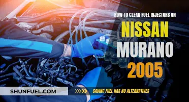 Cleaning Fuel Injectors on a 2005 Nissan Murano: DIY Guide