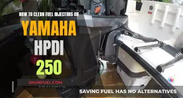 Cleaning Yamaha HPDI 250 Fuel Injectors: A Step-by-Step Guide