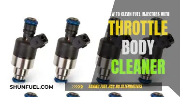 Cleaning Fuel Injectors: Throttle Body Cleaner Method
